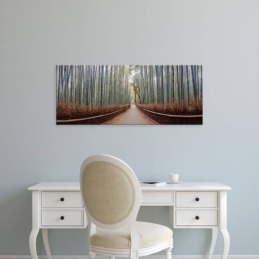 Easy Art Prints Panoramic Imagess Bamboo Trees in A Forest, Arashiyama, Kyoto Prefecture, Japan Premium Canvas Art XNM1_A2HLW38