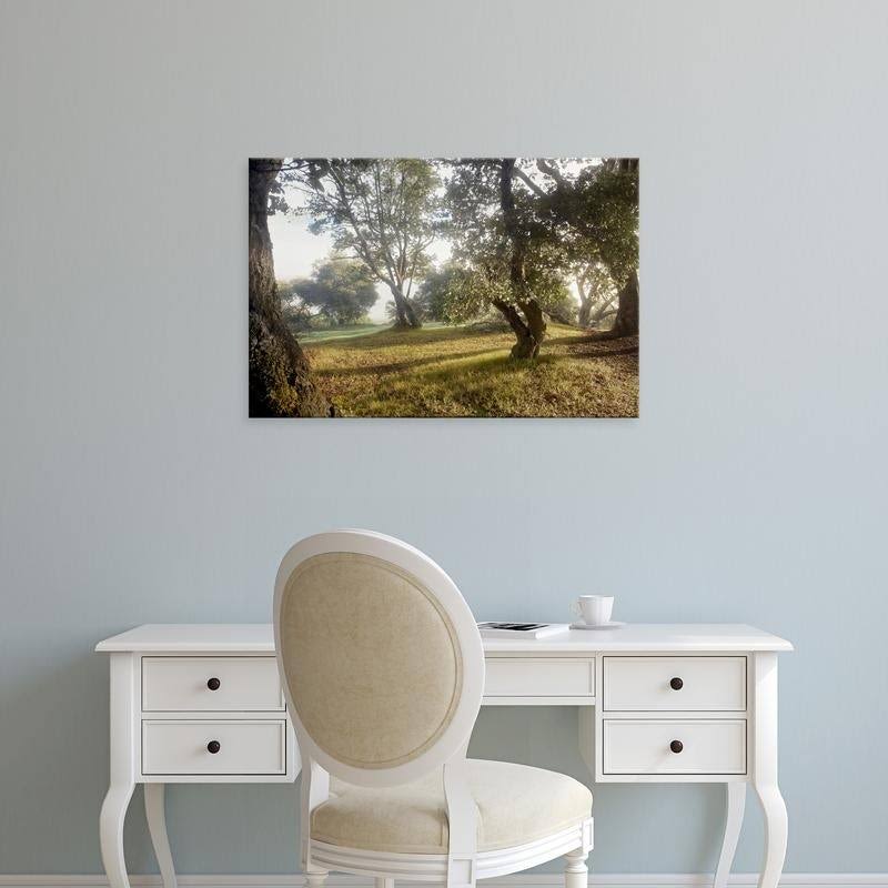 Easy Art Prints Alan Blausteins Oak Tree #70 Premium Canvas Art - 20 x 30 - Stretched Canvas WTJ9_R1KWG68