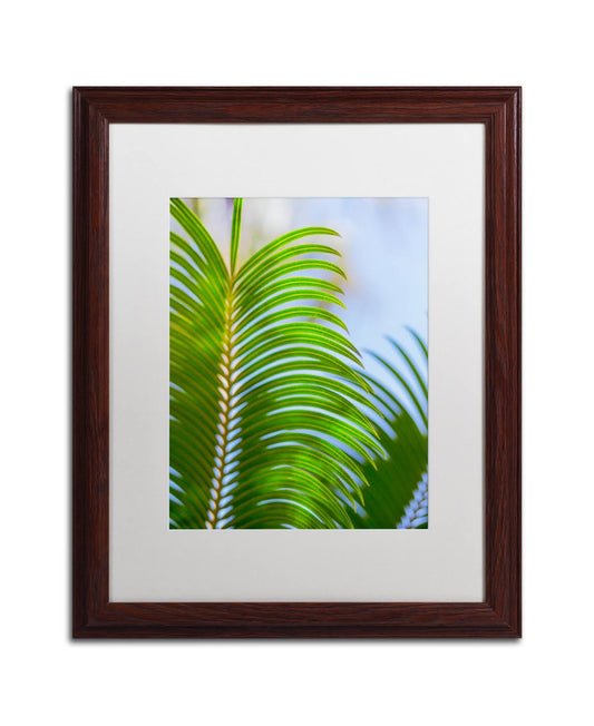 Trademark Fine Art Palm Frond by Ariane Moshayedi Framed Photographic Print - Size: 20x22 H x 16x22 W x 0.5x22 D, Frame Color: B CPQ0_N6XJT32