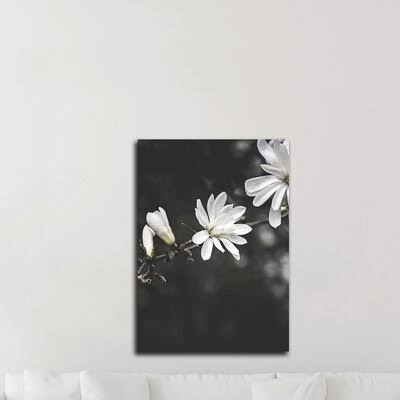 &White Flowers& by Design Fabrikken - Wrapped Canvas Photograph Print Latitude Run Size: 35x22 H x 25x22 W x 1.5x22 D CGE1_Z6EJS56