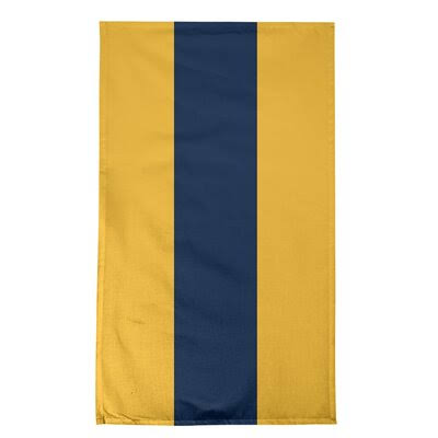 Anaheim Hockey Tea Towel East Urban Home Color: Gold/Blue/Gold, Material: Cotton Twill UXJ3_T4BFH40