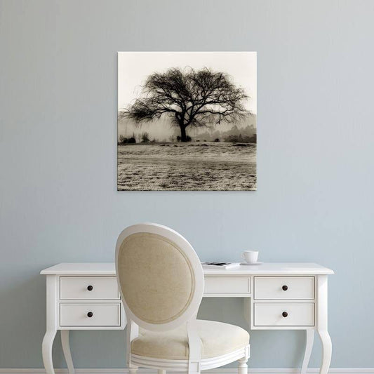 Easy Art Prints Alan Blausteins Willow Tree Premium Canvas Art - 16 x 16 - Modern Black Frame UKG3_S3RFE47