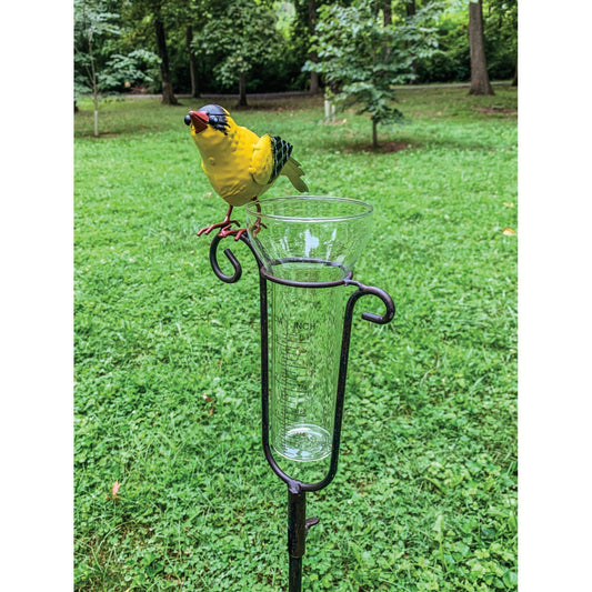 Esschert Design 48x22 Yellow and Clear Finch Rain Gauge with Stake UFQ8_W4XJZ91