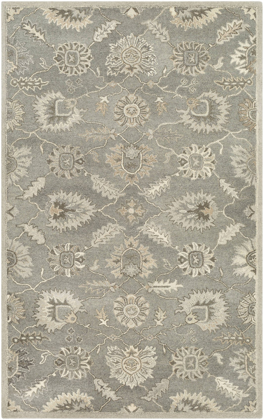 Traditional BHS-0029545 Tufted Wool Taupe Classic Area Rug EVK4_W0IYE16