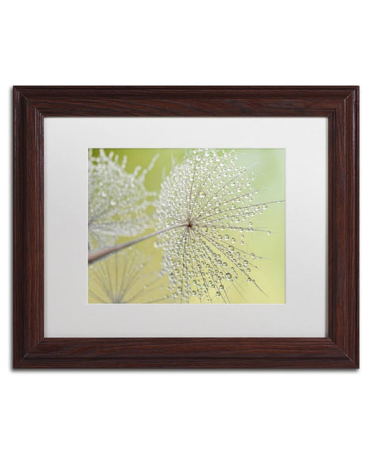 Trademark Fine Art Dewy Dandelion by Cora Niele Framed Photographic Print - Size: 11x22 H x 14x22 W x 0.5x22 D, Frame Color: Bro RIV3_K1HXL43