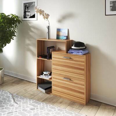 Shoe Storage Cabinet with 2 Drawers  Shelves Latitude Run Finish: Brown XIR2_A0DFR91