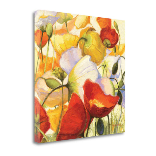 Tangletown Fine Art Poppies Up Close by Shirley Novak, Giclee Print on Gallery Wrap Canvas, 25x25x22 QZS5_G8SXF73