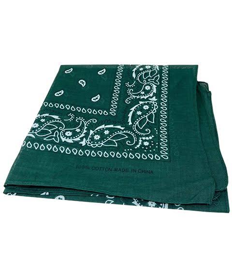 ALLTIMETRADING 300 Bulk Paisley Bandana in Hunter Green Color - Bandanas EVX0_O3KXB48