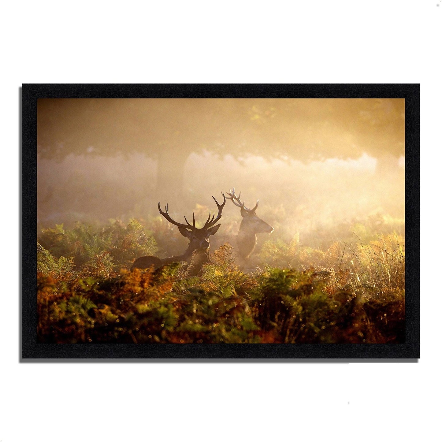 40x22 x 59x22 Two Stags at Dawn Framed Photograph Print ERU7_B3RPR74