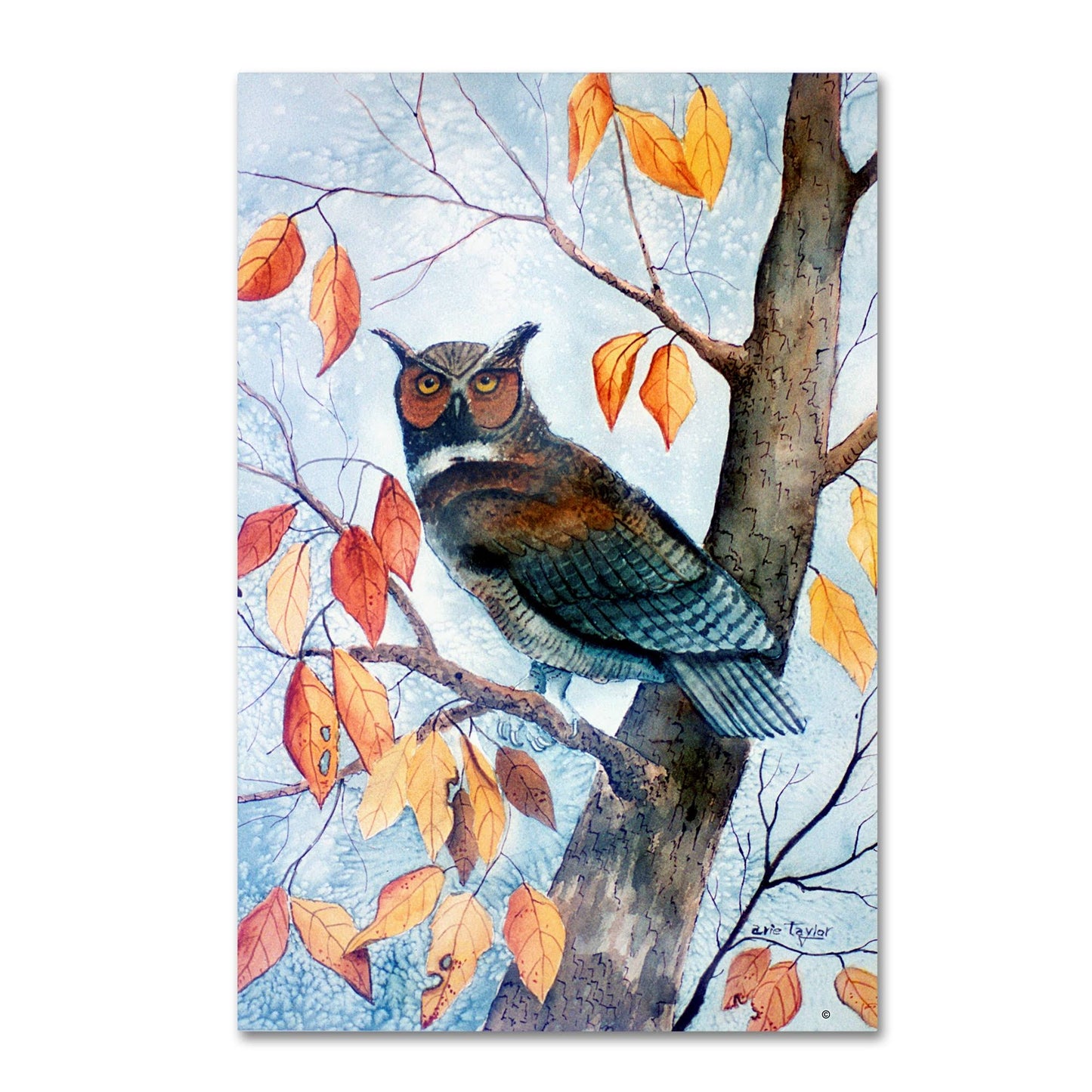 Trademark Fine Art Owl and Autumn Leaves Canvas Art by Arie Reinhardt Taylor, Size: 22 x 32 URK7_C2SWC38