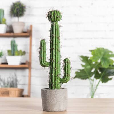 14x22 Artificial Cactus Succulent in Pot Foundry Select GGB3_P2DYN12