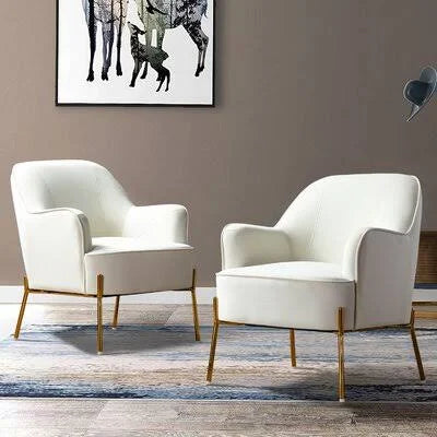 Cleo 26x22 Wide Velvet Armchair Gold Flamingo Fabric: Ivory PWL8_G6BGH47