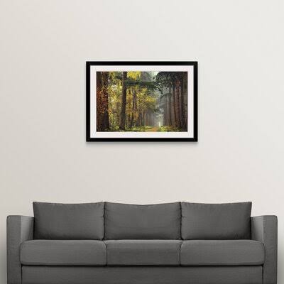 Anjelique Colors of The Forest& Lars Van De Goor Photographic Print Winston Porter Format: Black Frame, Size: 32x22 H x 44x22 W  WRG2_D5MVF93