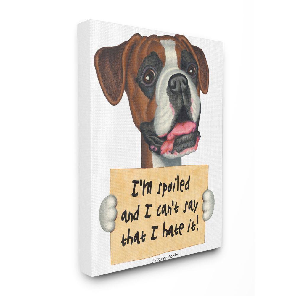 Stupell Industries Spoiled Boxer Dog Phrase Funny Home Pet Sign Canvas Wall Art Design by Danny Gordan, 24 inch x 30 inch QCX9_Q8VTA49