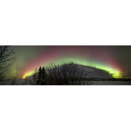 Posterazzi Aurora Borealis with Tree and Shooting Star Twin Lakes Yukon Canada Poster Print PSTJFB100095SLARGE HAF4_O3LPM47