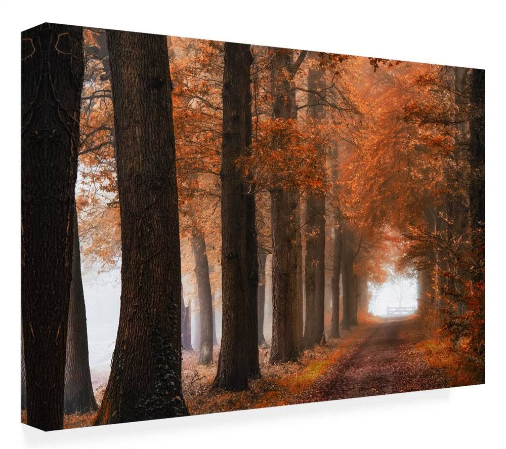 Trademark Art Lars Van De Goo Glorious Season Canvas Art MAQ0_W5GNV74